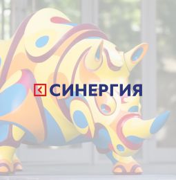 ���������� �������� Synergy Executive MBA � ������������ ����������