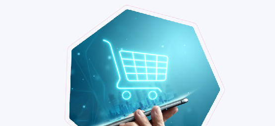 ЭЛЕКТРОННАЯ КОММЕРЦИЯ (E-COMMERCE)