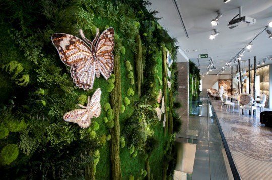 ���������, ��������, ���� ���